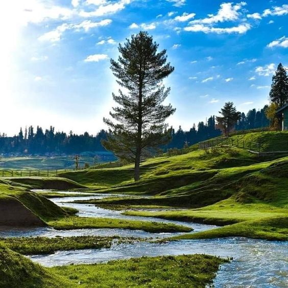 Gulmarg